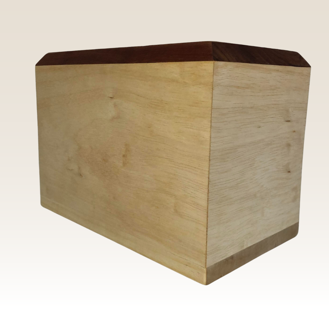 Urna Caixeta Cedro