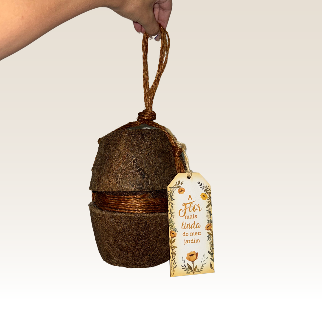 Urna Bio Coco Médium