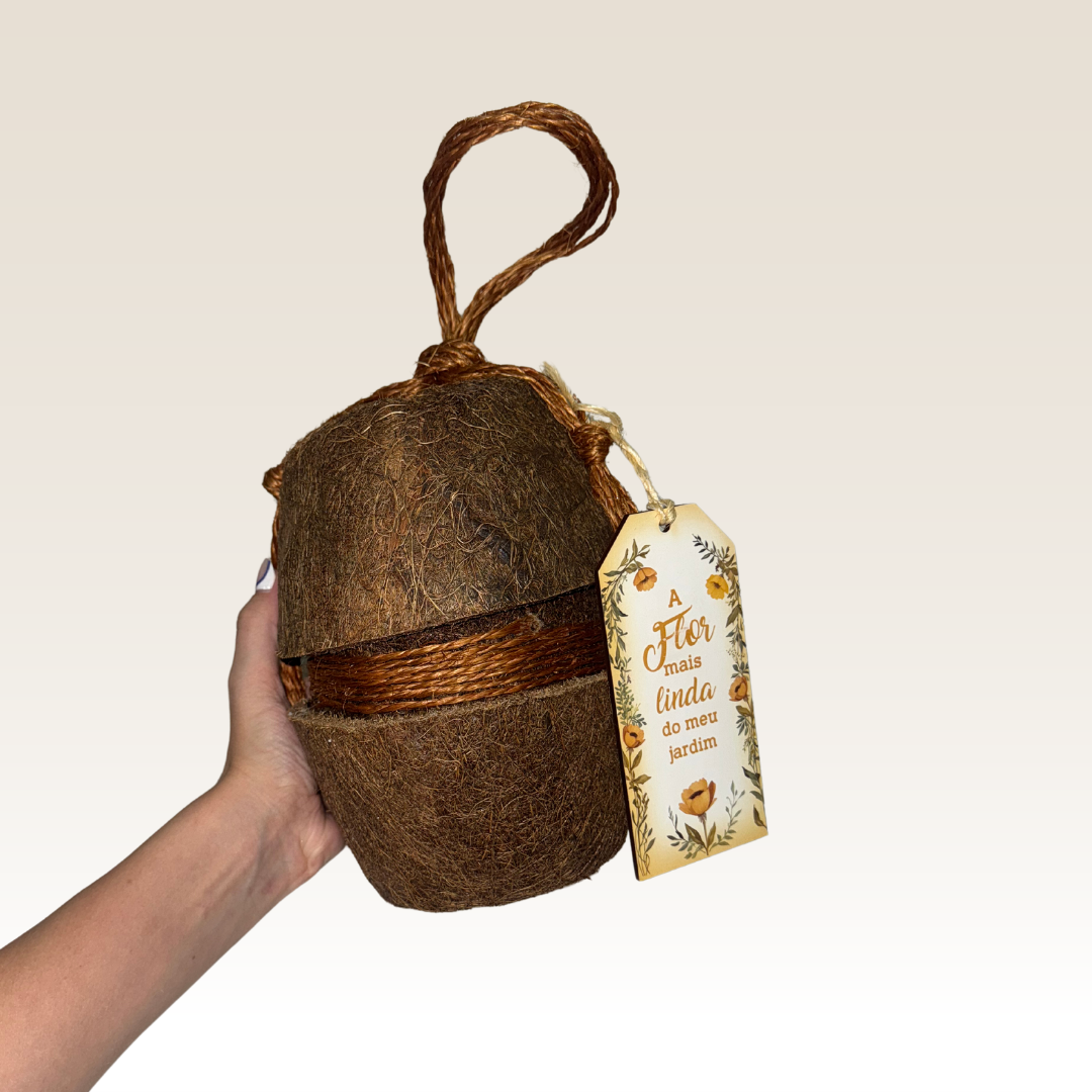 Urna Bio Coco Médium