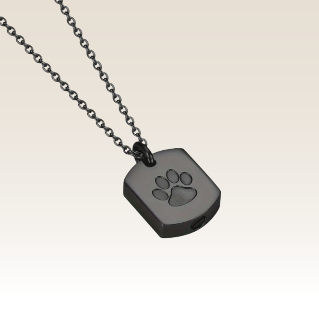 Pingente Placa Pet
