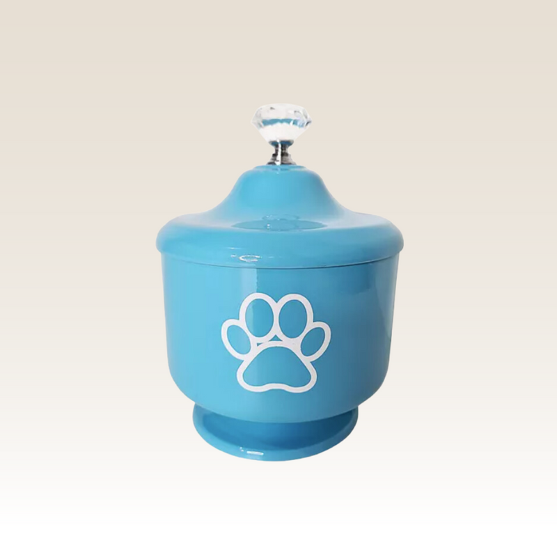 Urna CãoLuz Azul