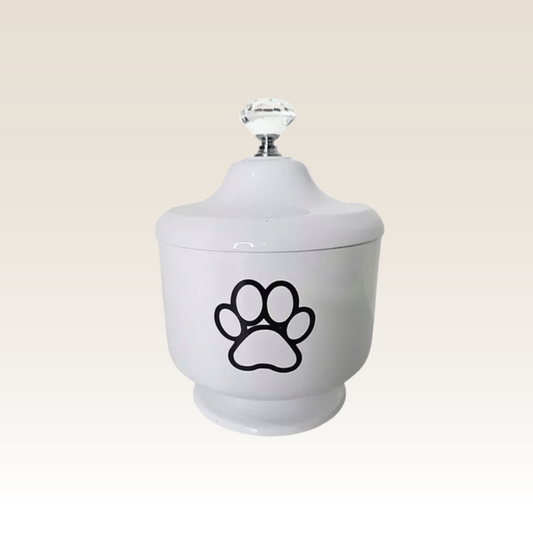 Urna CãoLuz Branca
